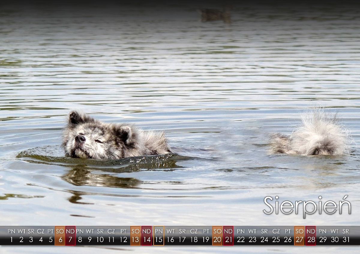 08 Sierpien2022 copy